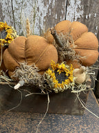 Primitive Pumpkins In Antique Cheese Box Gathering 12x8
