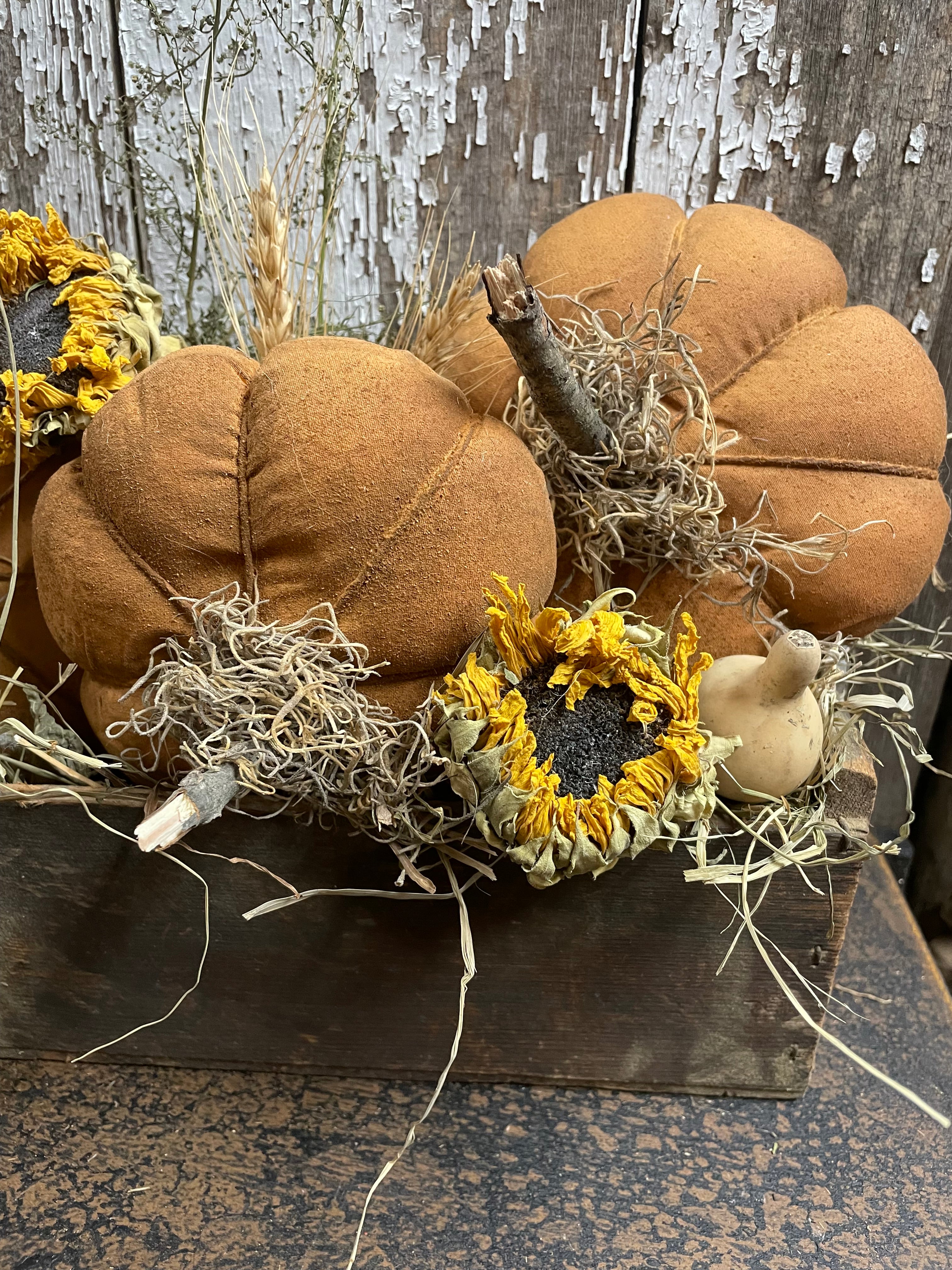 Primitive Pumpkins In Antique Cheese Box Gathering 12x8