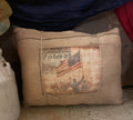Small Primitive Americana Feedsac Pillow 10x8