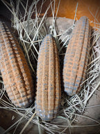 3 Primitive Fall Halloween Blackened Wax Corn Bowl Fillers