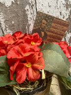 Primitive Geraniums In Antique Enamelware Bucket Gathering 6x6