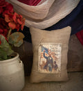 Small Primitive Americana Feedsac Pillow 10x8