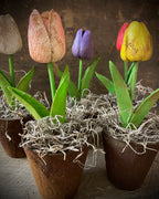 Small Primitive Grunged Faux Tulip In Pot 8x4 Set Of 3 Or 5