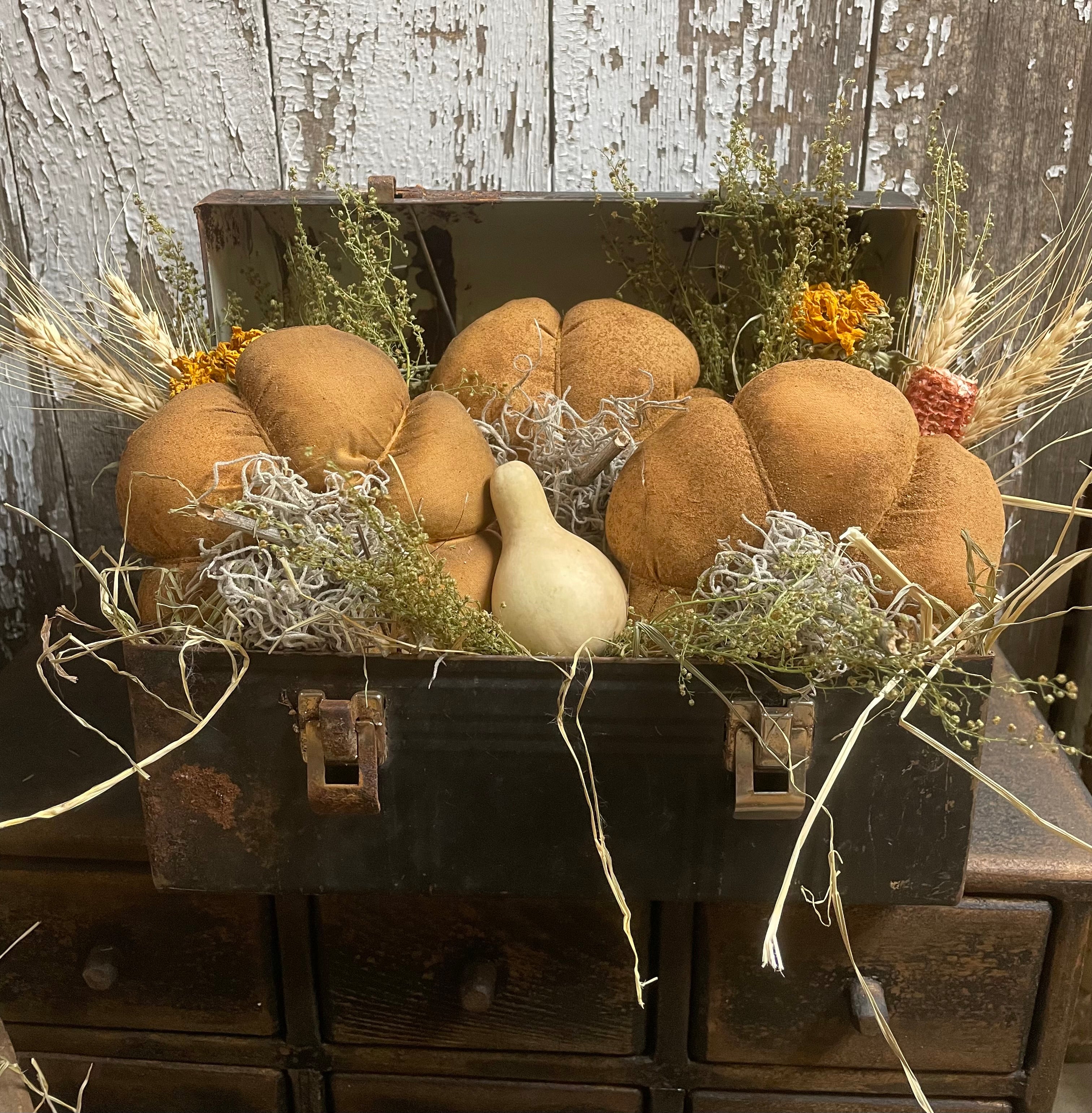 Primitive Pumpkins In Antique Lunch Box Gathering 10x6
