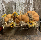 Primitive Pumpkins In Antique Cheese Box Gathering 12x8