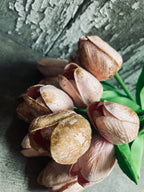 12 Primitive Grunged Pink Faux Tulips 14x1