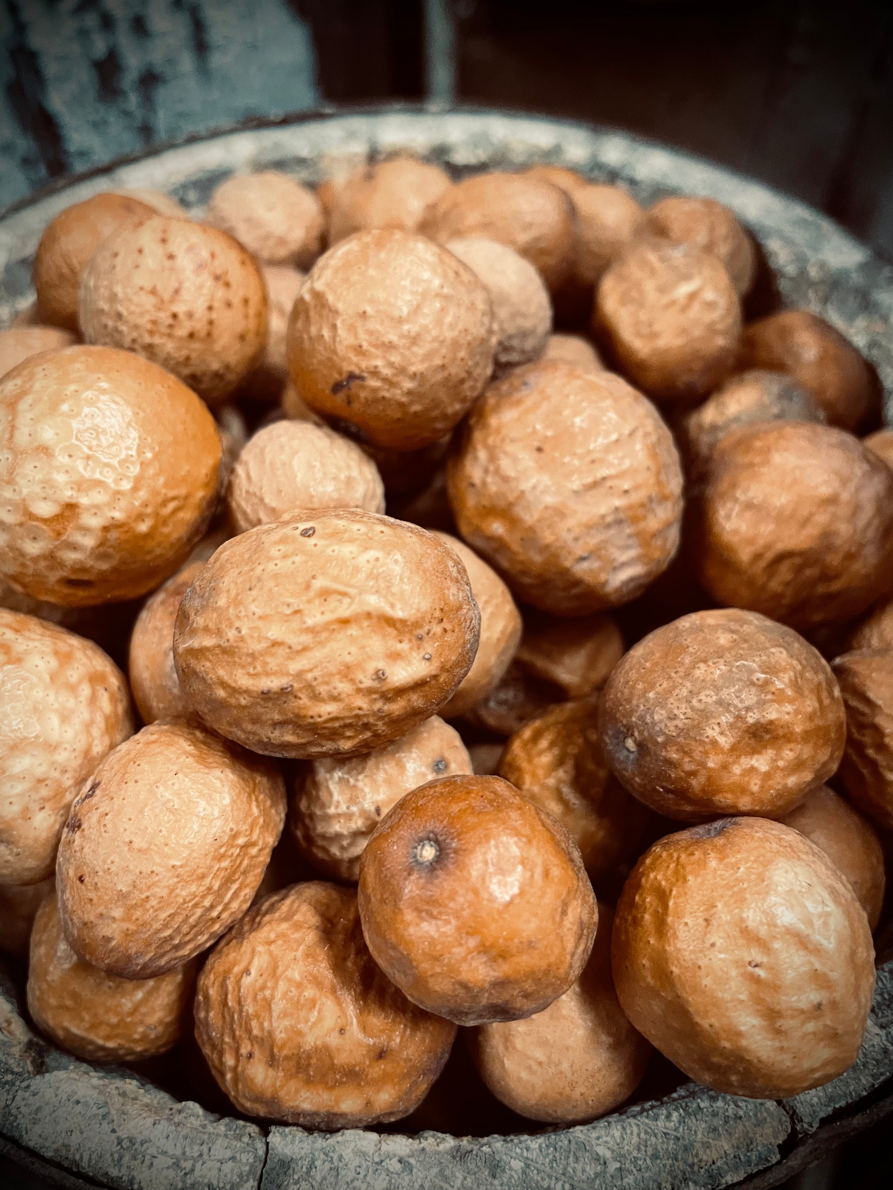 Primitive Dried Natural Crabapples Set Of 50 or 100