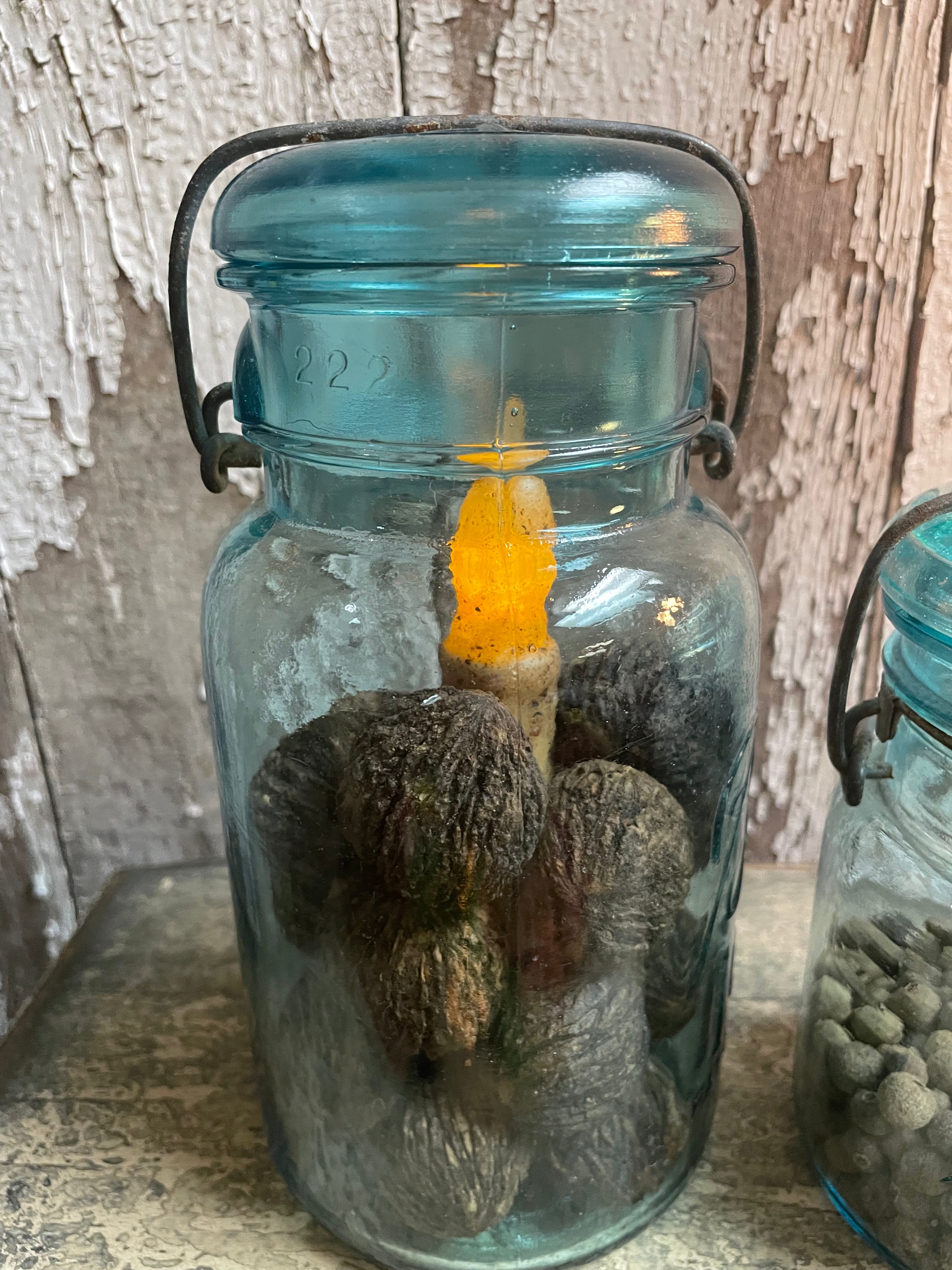 Antique Blue Ball Wire Pint Jar With Black Walnuts And Candle 7x4