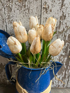 10 Primitive Tulips In Antique Tea Pot Gathering 12x7