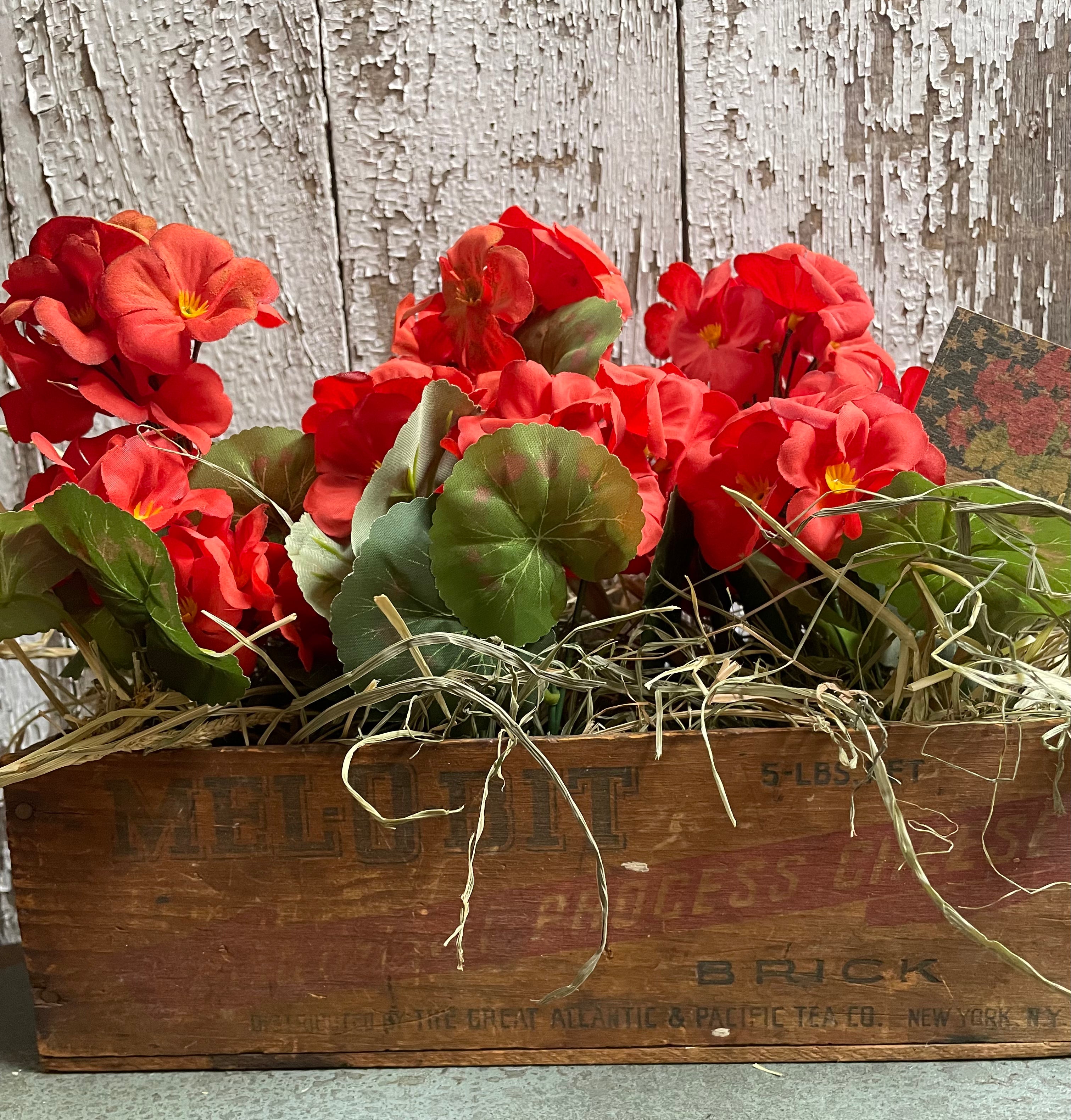 Primitive Geraniums In Antique Cheese Box 11x10