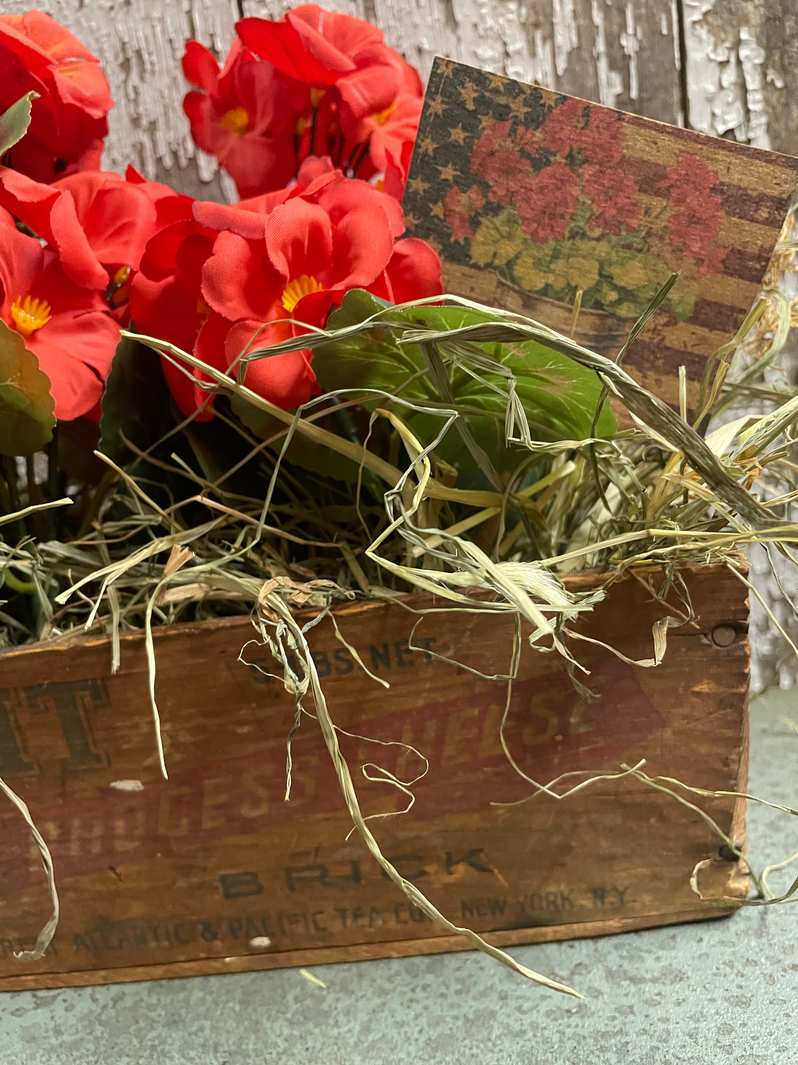 Primitive Geraniums In Antique Cheese Box 11x10