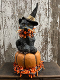 Primitive Cat On Pumpkin Rugged Chic 18x8