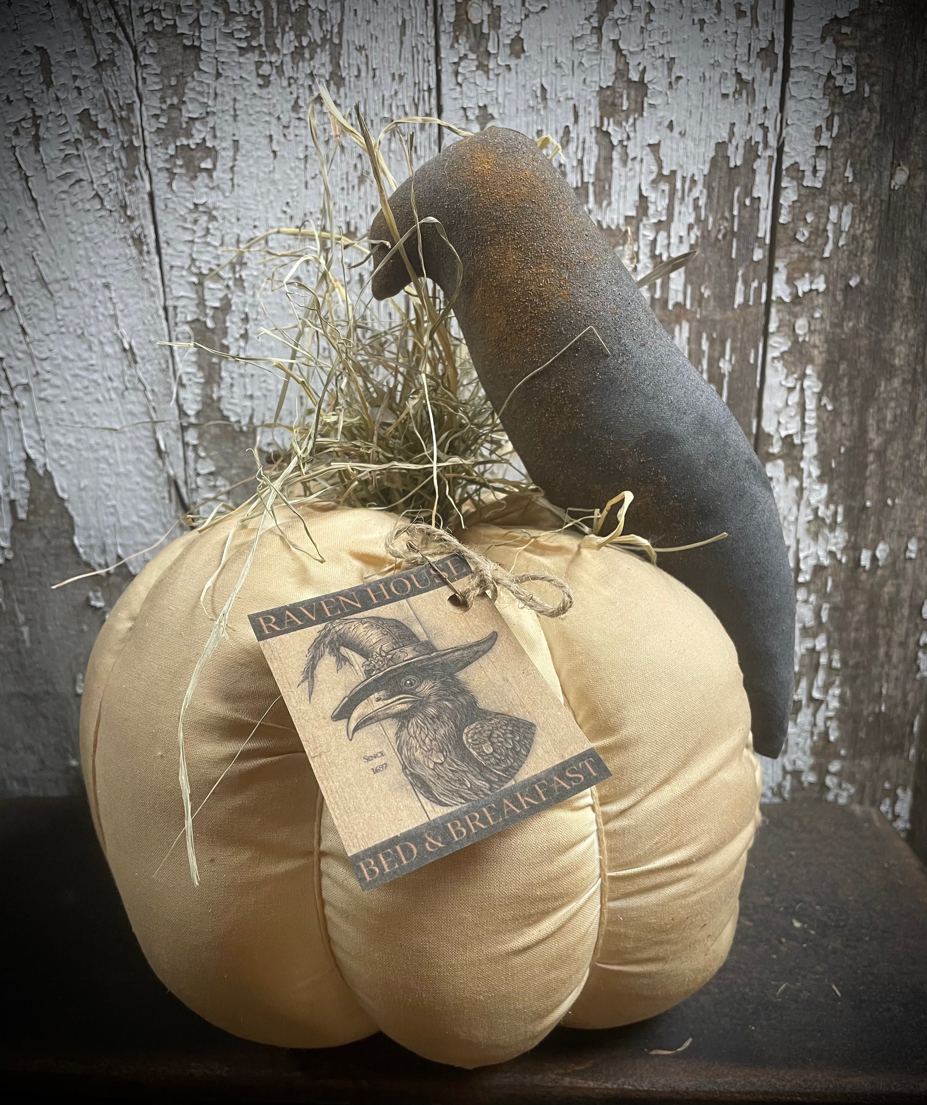 Primitive White Pumpkin With Crow Sitter 13x10