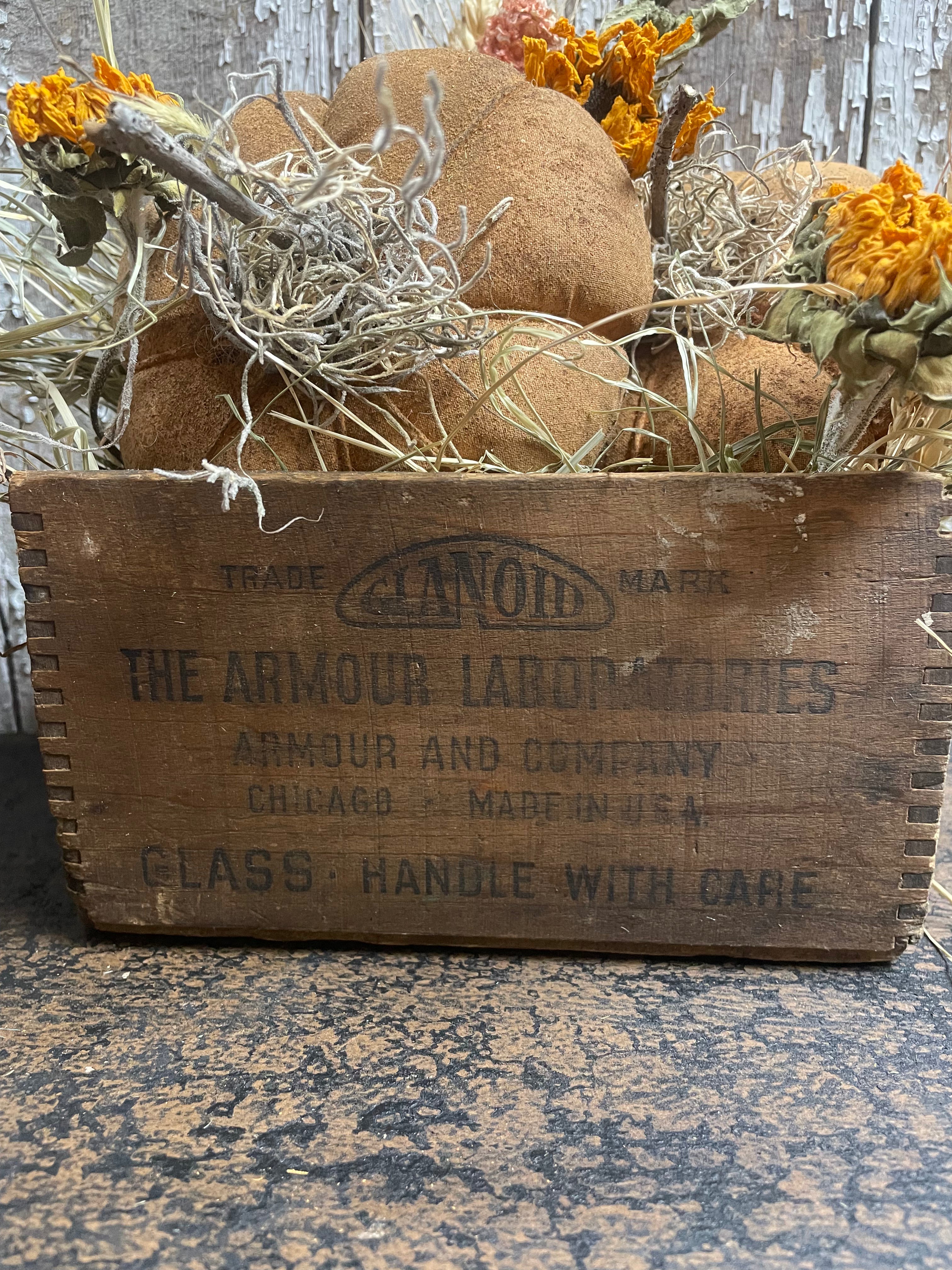 Primitive Pumpkins In Antique Medicine Box Gathering 9x7