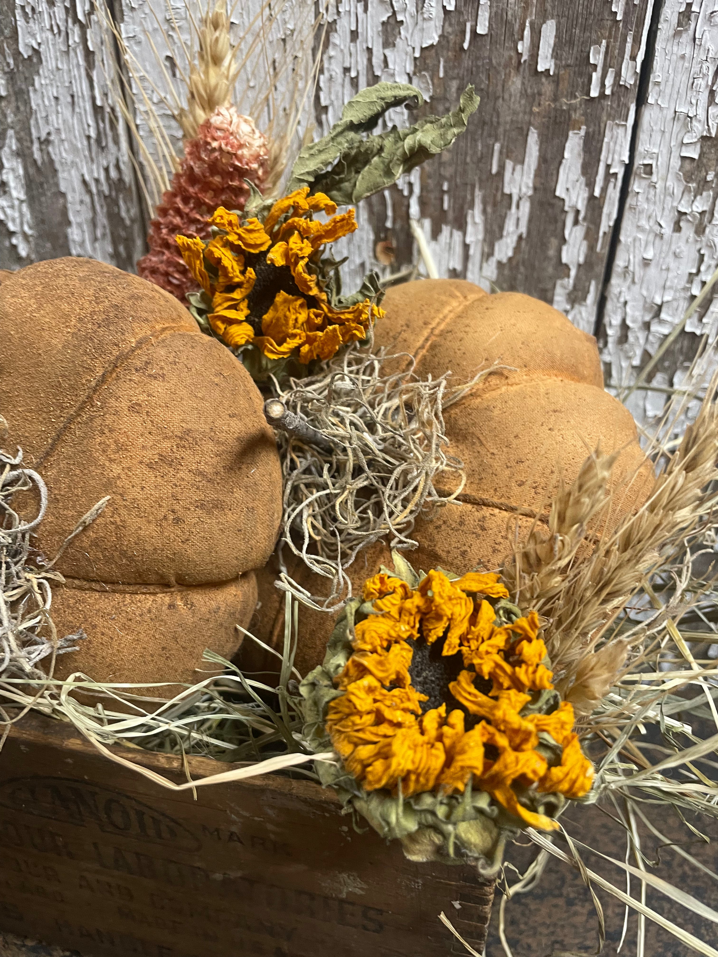 Primitive Pumpkins In Antique Medicine Box Gathering 9x7