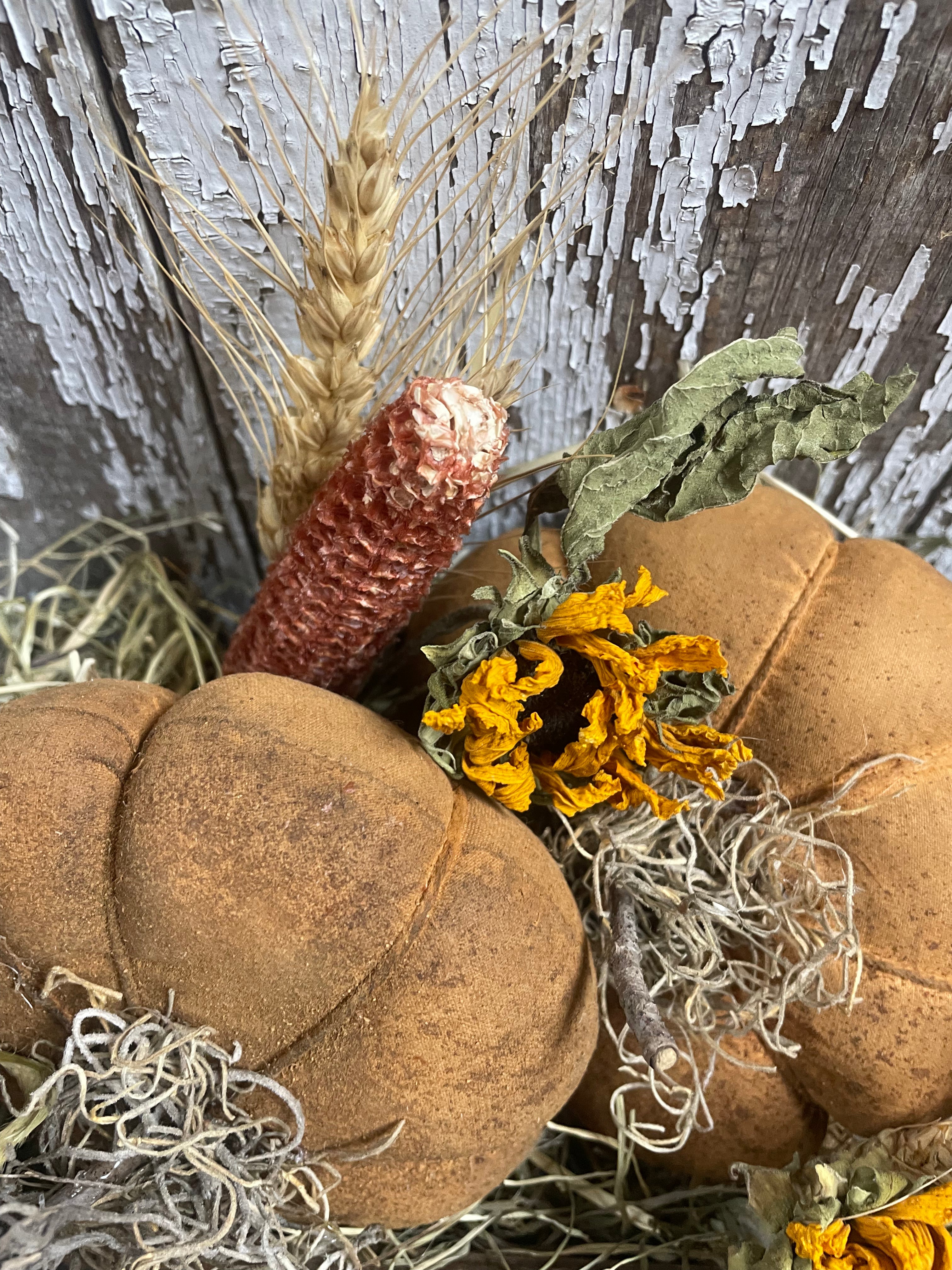 Primitive Pumpkins In Antique Medicine Box Gathering 9x7