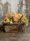 Primitive Pumpkins In Antique Box Gathering 9x8