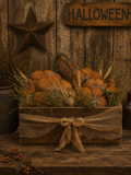 Primitive Pumpkins In Antique California Prune Box Gathering 16x10x15