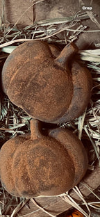 4 Primitive Fall Halloween blackened wax pumpkin Bowl Fillers