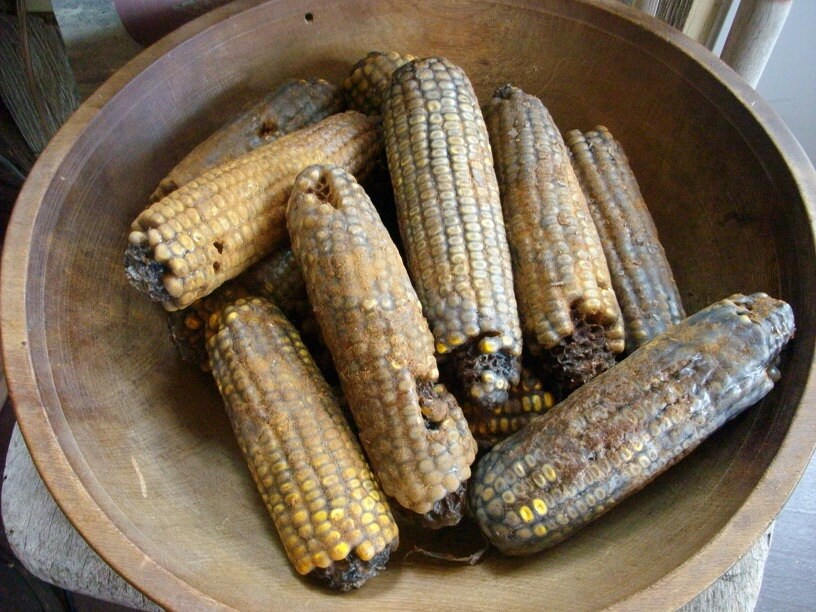 3 Primitive Fall Blackened Wax Dipped Corn Bowl Fillers