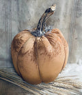 Primitive Orange Pumpkin With Real Stem 12x10