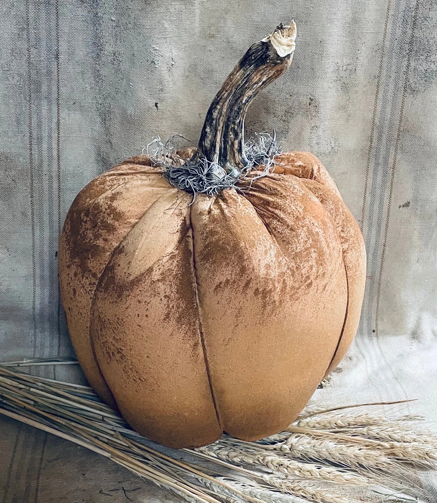 Primitive Orange Pumpkin With Real Stem 12x10