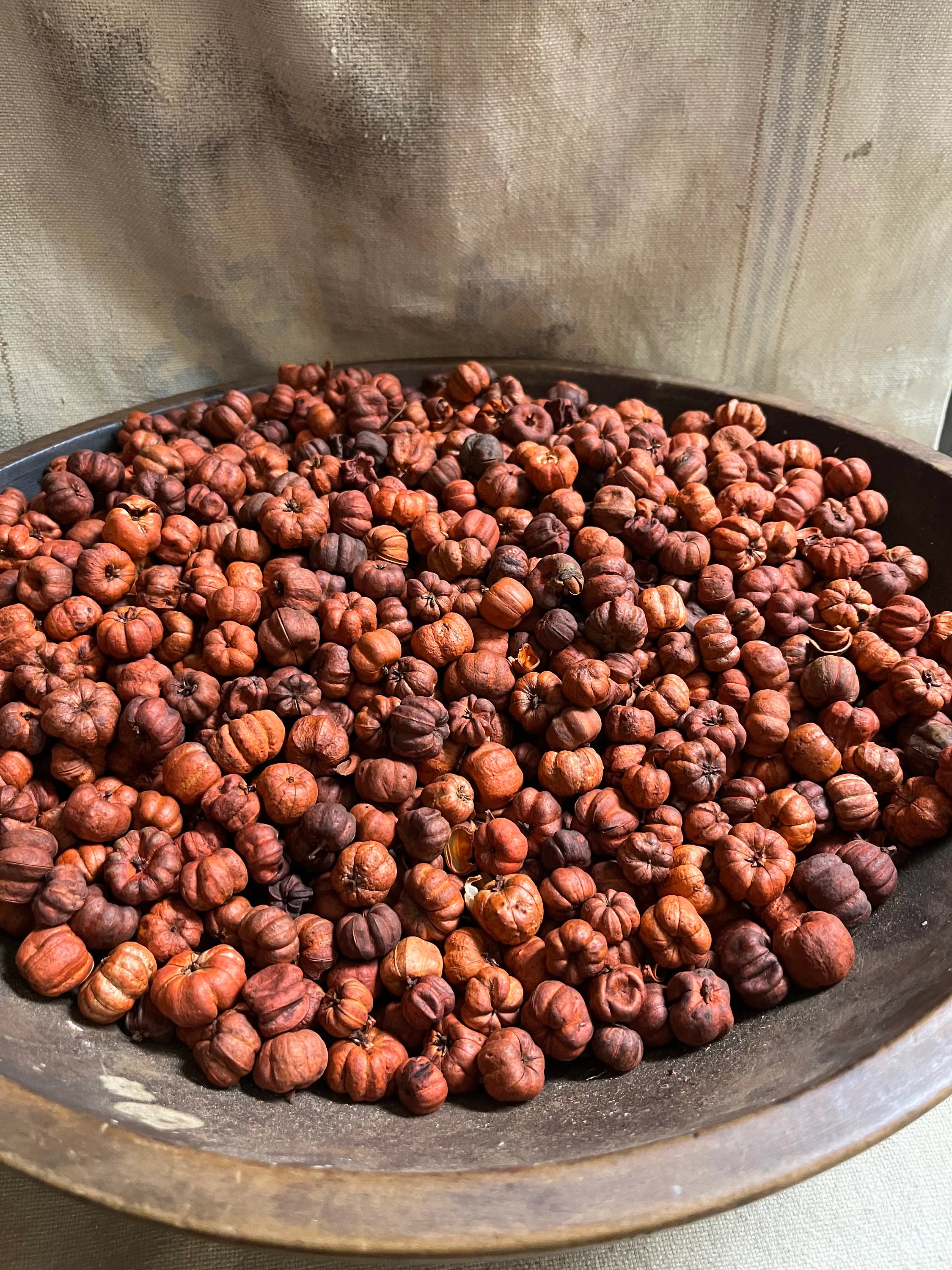 Primitive Orange Putka Pods Bowl Fillers 8 Cups (8oz) or 16 Cups (16oz)