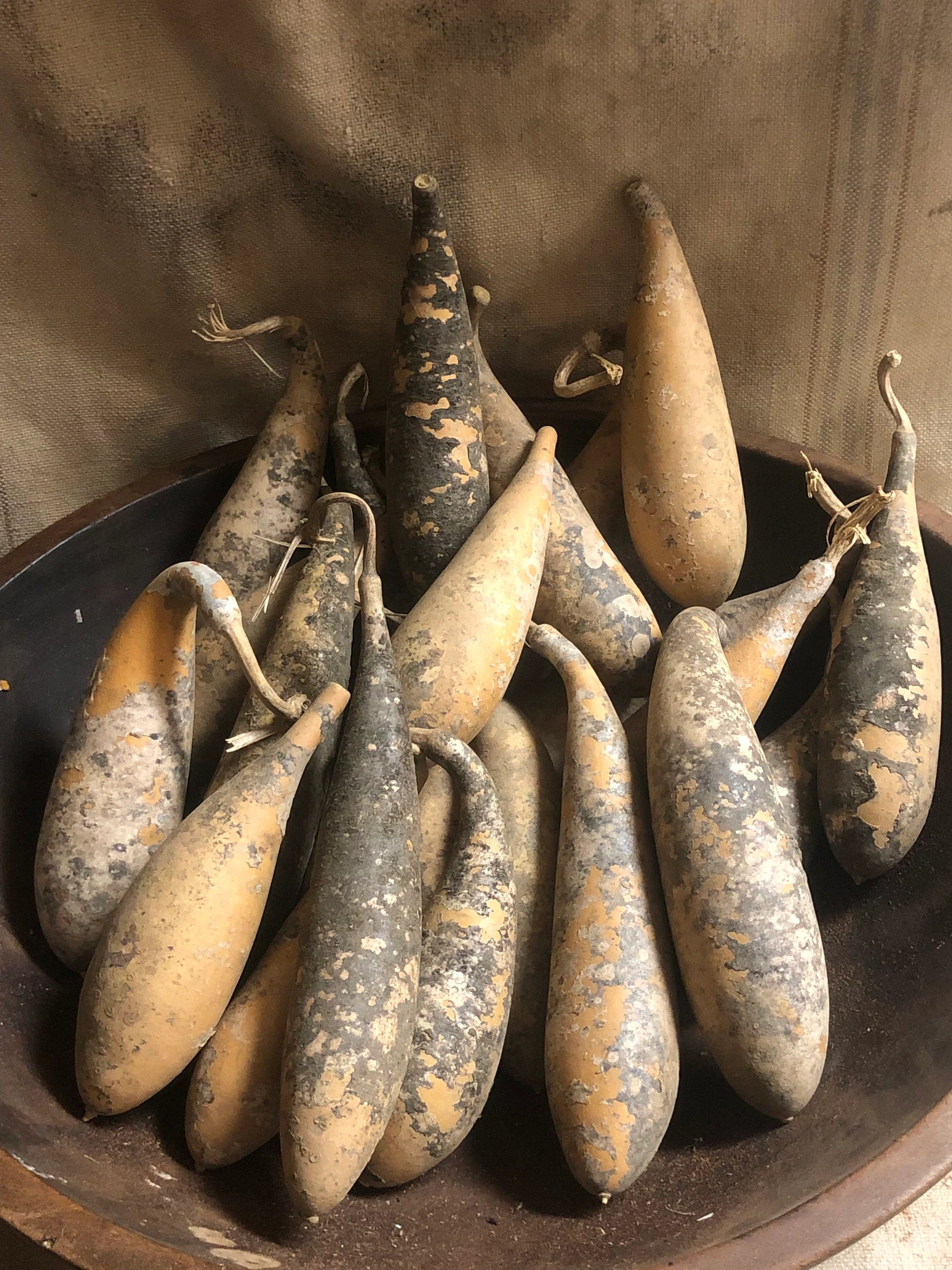 Primitive Dried Unwashed Banana Gourds Bowl Fillers Set of 3,6,10 or 20