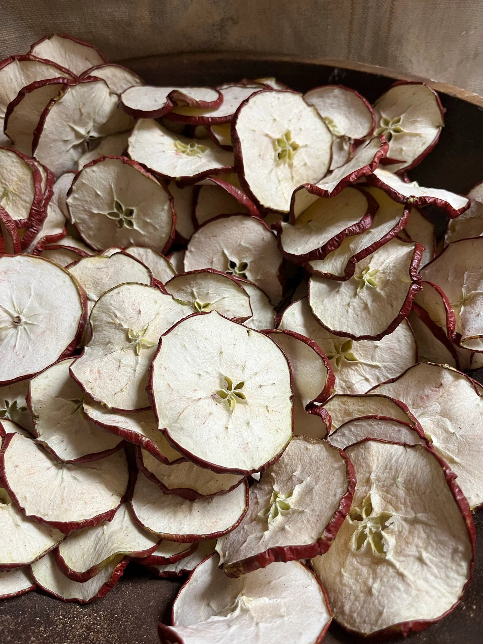 Primitive Dried Red Apple Slices Bowl Fillers Set of 20 or 50