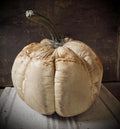 Primitive Fall Halloween White Pumpkin With Real Stem 12x10