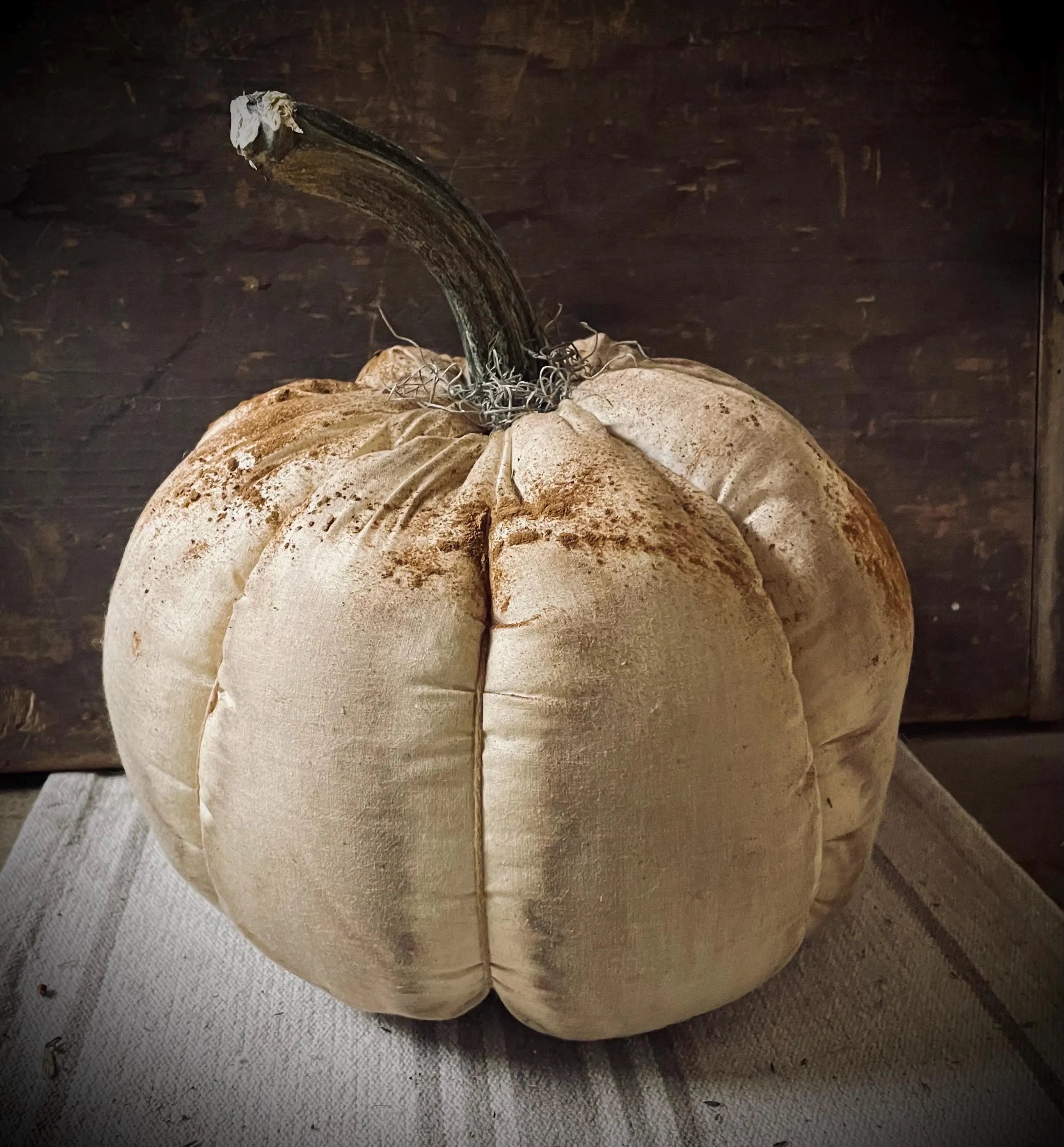 Primitive Fall Halloween White Pumpkin With Real Stem 12x10
