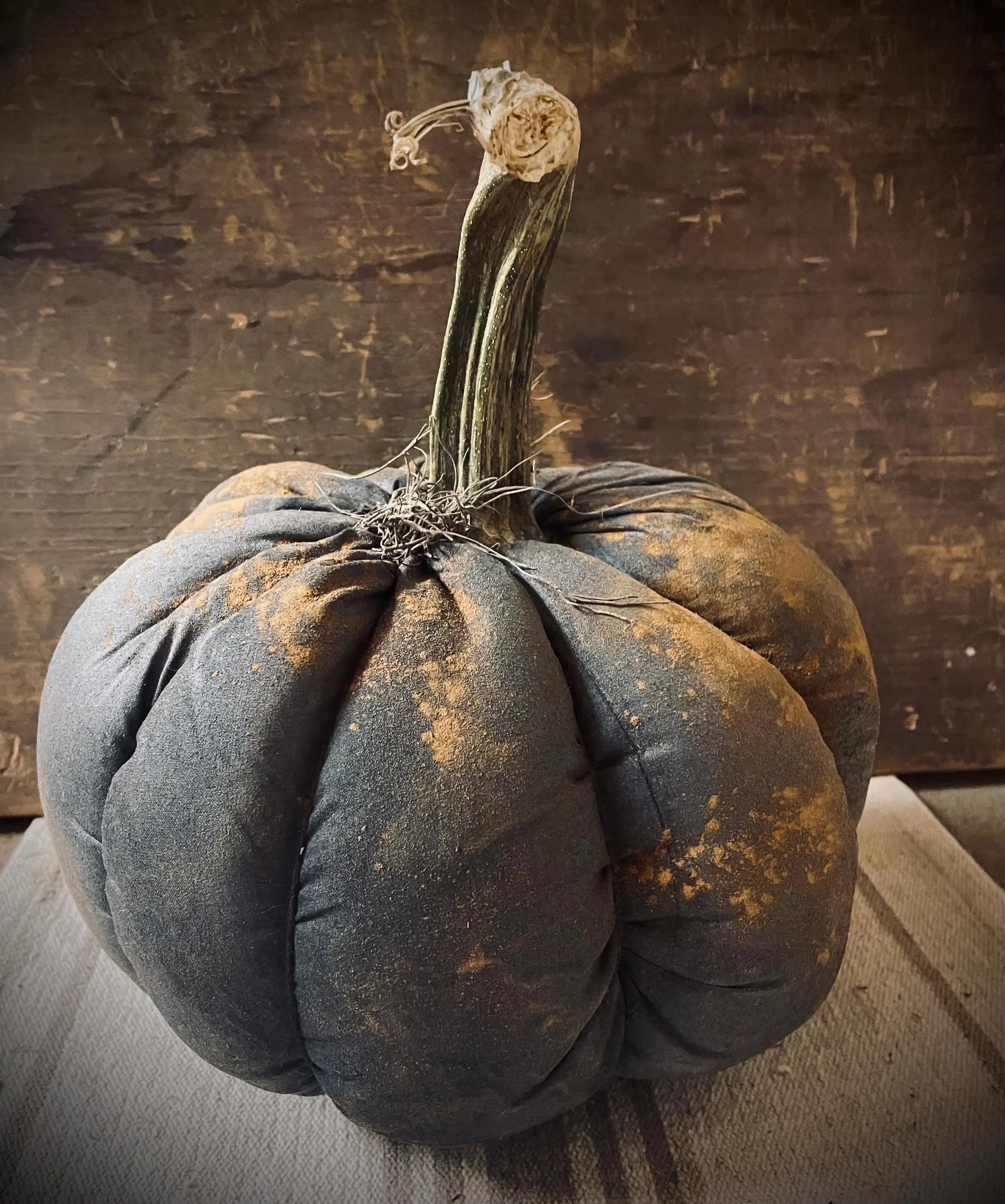 Primitive Fall Halloween Black Pumpkin With Real Stem 12x10